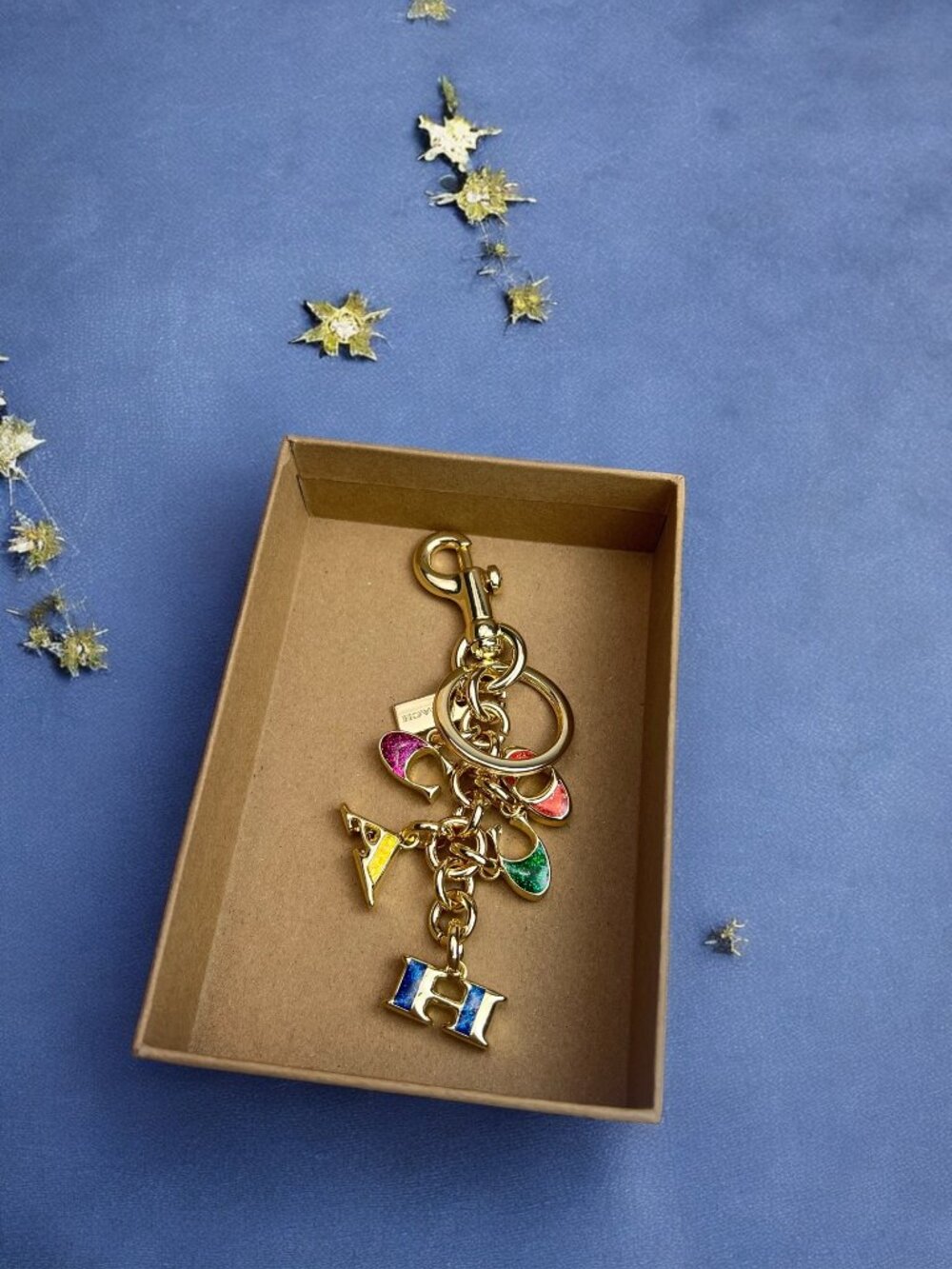 🌸Coach Multicolor Key Holder with Gold Accents - Picture 5 of 8